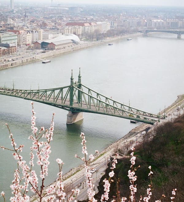 Budapest bro