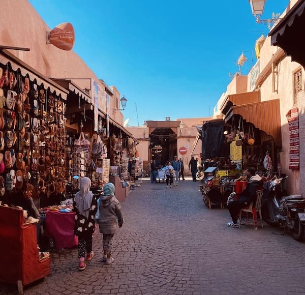 Marrakech gator