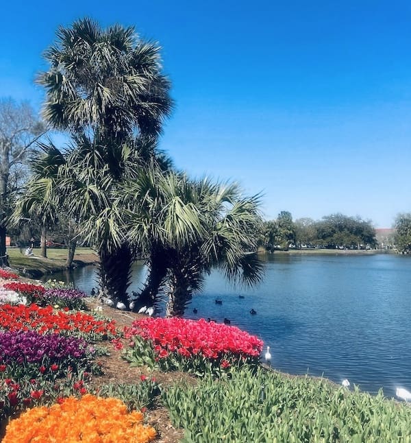 New Orleans stadspark